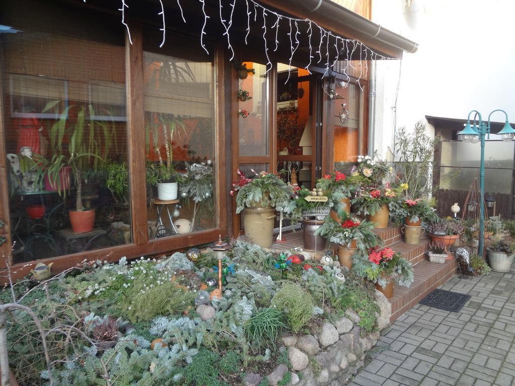 Alteschule15 Apartment Leibsch Екстериор снимка