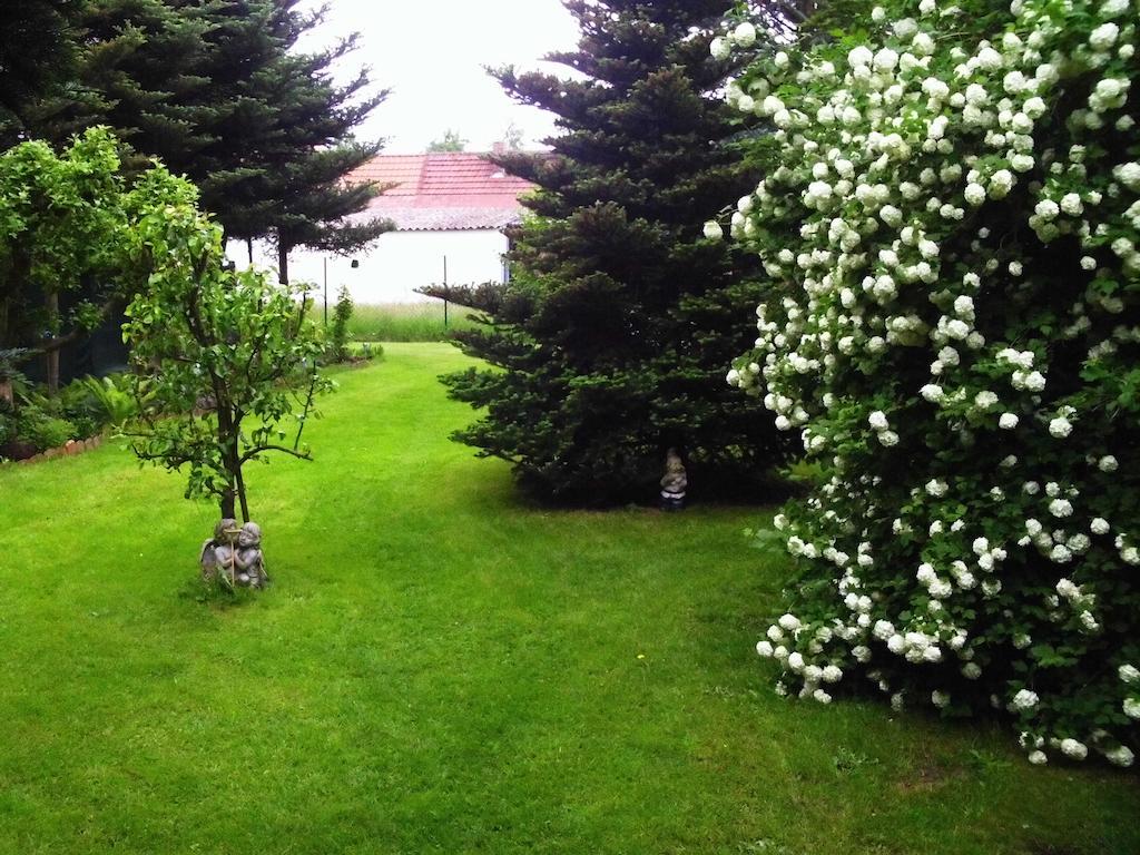 Alteschule15 Apartment Leibsch Екстериор снимка